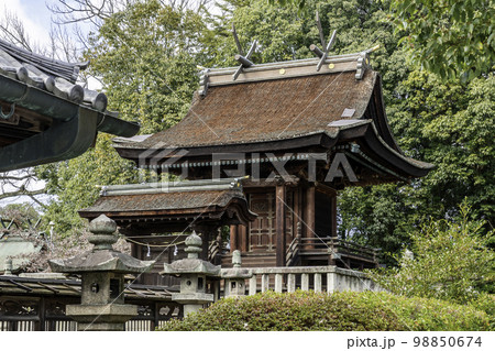 倉敷美観地区　阿智神社　本殿　岡山県倉敷市 98850674