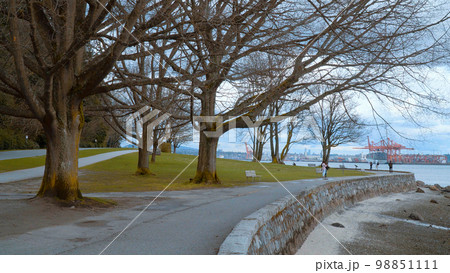 Beautiful walks at Stanley Park Vancouver 98851111