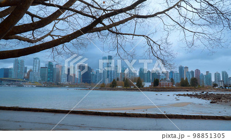 Vancouver skyline - view from Stanley Park Vancouver skyline - view from Stanley Park 98851305