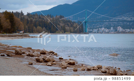 The pebbly beach at Stanley Park Vancouver 98851499