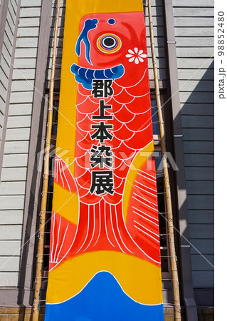 鯉のぼり 郡上八幡旧庁舎記念館（岐阜県郡上市） 98852480