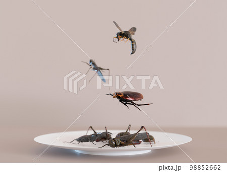 Edible insects on a plate. Crickets as snack, good source of protein. Entomophagy, insectivory concept. Fried insects. Close up view. 3D rendering. Edible insects on a plate. Crickets as snack, good source of protein. Entomophagy, insectivory concept. Fried insects. Close up view. 3D rendering. 98852662
