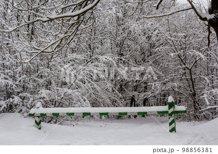Green and white barrier preventing passage into the forest. Covered with white snow on a cloudy winter day 98856381