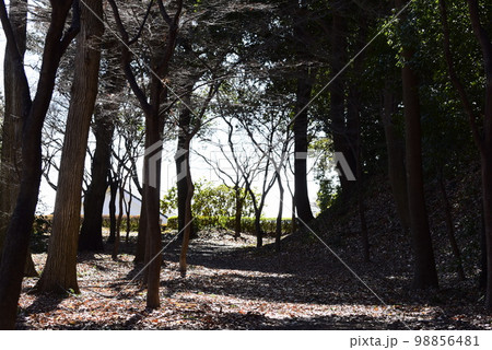 群馬　桐生山上城跡 98856481