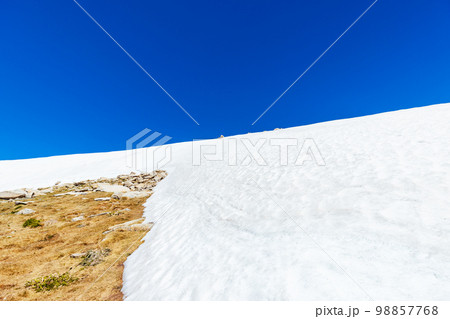 Kosciuszko Summit Walk in Australia 98857768
