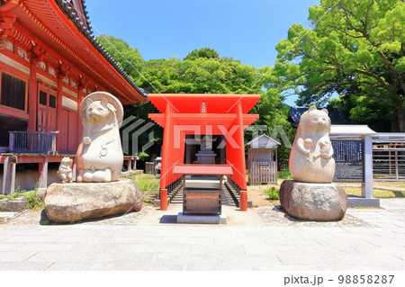 【香川県】四国霊場「第84番札所」屋島寺（屋島太三郎狸と本堂） 98858287
