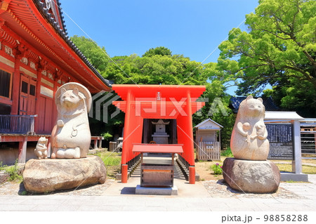 【香川県】四国霊場「第84番札所」屋島寺（屋島太三郎狸と本堂） 98858288