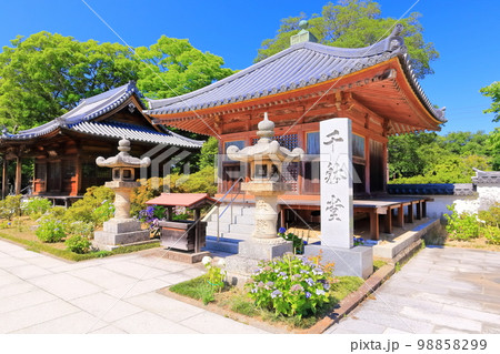 【香川県】四国霊場「第84番札所」屋島寺(千躰堂) 【香川県】四国霊場「第84番札所」屋島寺(千躰堂) 98858299