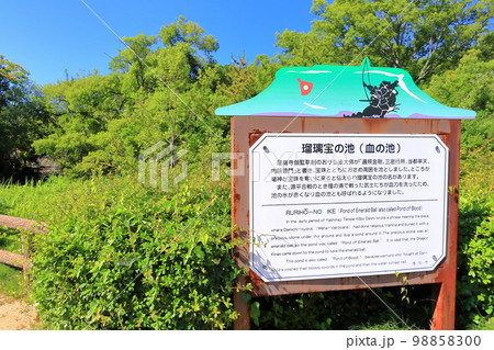 【香川県】四国霊場「第84番札所」屋島寺 瑠璃宝の池(血の池) 【香川県】四国霊場「第84番札所」屋島寺 瑠璃宝の池(血の池) 98858300