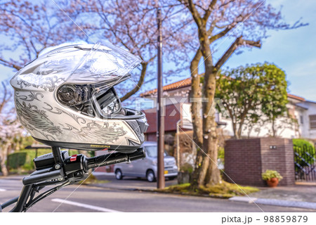 桜の木のトンネルのバイクツーリング　静岡県伊東市八幡野 98859879