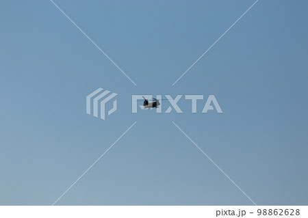 自衛隊機飛行訓練 自衛隊機飛行訓練 98862628