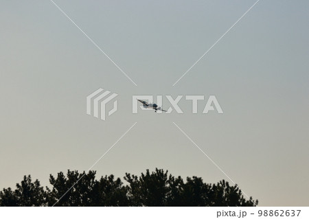 自衛隊機飛行訓練 自衛隊機飛行訓練 98862637