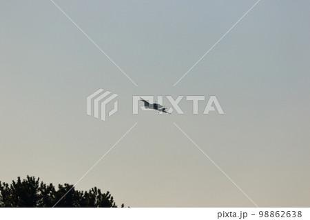 自衛隊機飛行訓練 98862638