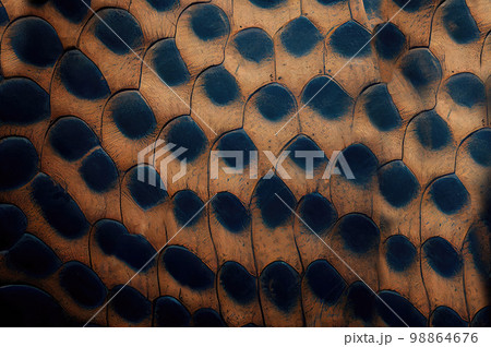 Elephant Skin Texture Background, Wrinkled Animal Leather, Elephant Skin Closeup 98864676
