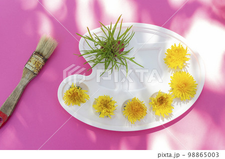 Watercolor palette with flowers, yellow dandelion flowers. Summer art concept on a bright background. Pink background with sun shadows 98865003