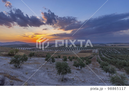typical Andalusian landscape during sunset, Spain typical Andalusian landscape during sunset, Spain 98865117