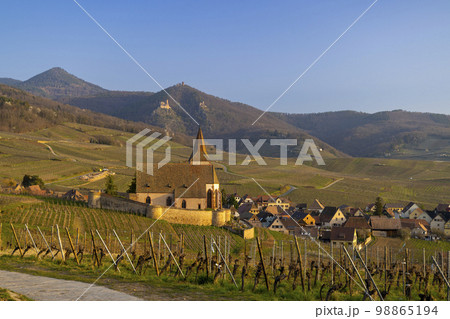 Hunawihr village with castle ruins near Ribeauville, Alsace, France Hunawihr village with castle ruins near Ribeauville, Alsace, France 98865194