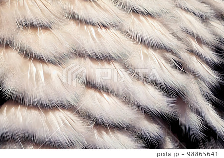 White Bird Fluff Texture Background, Ostrich Feather Pattern, Abstract Generative AI Illustration White Bird Fluff Texture Background, Ostrich Feather Pattern, Abstract Generative AI Illustration 98865641