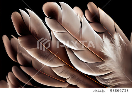Goose Feathers Background, Brown Plume , Wings Texture, Generative Ai Illustration Goose Feathers Background, Brown Plume , Wings Texture, Generative Ai Illustration 98866733