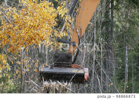 Forestry mulcher excavator clears roadside from small trees and shrubs. 98866873