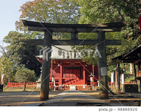 三芳野神社(川越) 三芳野神社(川越) 98866920