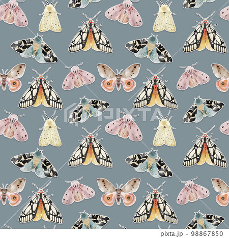 Seamless pattern with beautiful butterflies and moths, watercolor illustration. Seamless pattern with beautiful butterflies and moths, watercolor illustration. 98867850