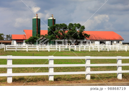 牧場の風景　イメージ 98868719