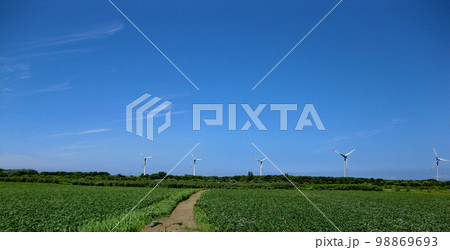 初夏のイメージ 緑の畑と真っ青な空 石狩湾岸から望む風力発電用の大型風車 初夏のイメージ 緑の畑と真っ青な空 石狩湾岸から望む風力発電用の大型風車 98869693