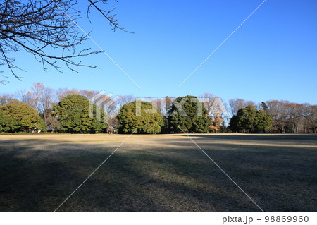 さいたま市北区市民の森の風景 さいたま市北区市民の森の風景 98869960