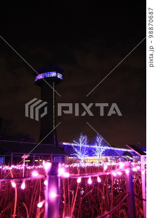 埼玉県行田市古代蓮の里のイルミネーション 埼玉県行田市古代蓮の里のイルミネーション 98870687