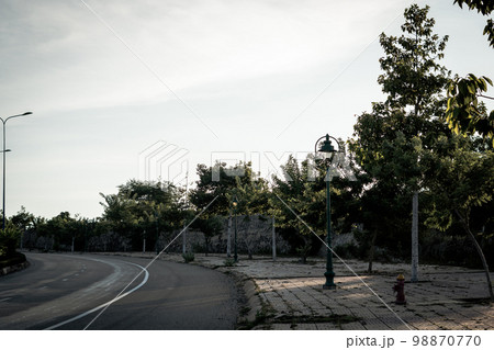 Highway curve road overpass nature landscape background dark tone mist day time street tall lanterns trees bushes sideway 98870770
