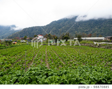 Landscape of Southern Cross-Island Highway in Taitung, Taiwan. Landscape of Southern Cross-Island Highway in Taitung, Taiwan. 98870885