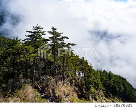 Landscape of Southern Cross-Island Highway in Taitung, Taiwan. 98870939