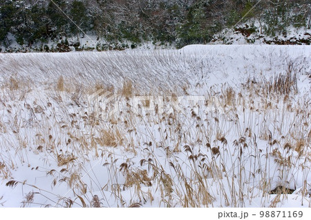 川に降り積もった雪の風景 川に降り積もった雪の風景 98871169