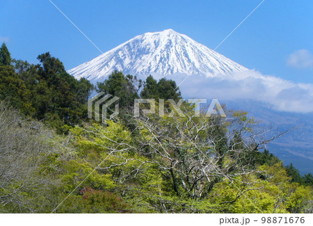 青空のもとの雪山の富士山 青空のもとの雪山の富士山 98871676
