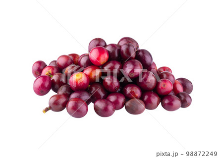 Red coffee beans isolated on a white background 98872249