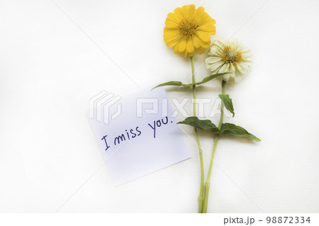 i miss you message card handwriting with yellow flowers zinnia elegans  98872334