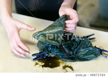 藍染を作る工程 素材画像伝統工芸のイメージ素材 藍染を作る工程 素材画像伝統工芸のイメージ素材 98872584