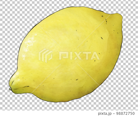 檸檬例證材料 檸檬例證材料 98872750