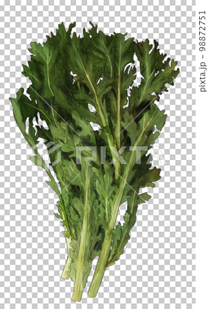 花環菊花插圖素材 花環菊花插圖素材 98872751