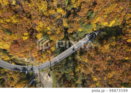 北海道 定山渓ダム周辺の道路と紅葉(空撮 真俯瞰) 北海道 定山渓ダム周辺の道路と紅葉(空撮 真俯瞰) 98873599