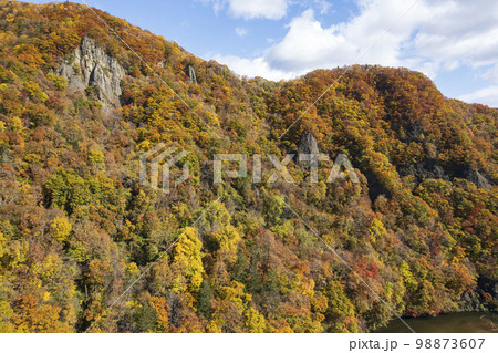 北海道 秋の定山渓 錦橋 舞鶴の瀞周辺の紅葉（空撮） 98873607