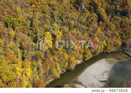 北海道 秋の定山渓 錦橋 舞鶴の瀞周辺の紅葉（空撮） 98873608