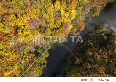 北海道 秋の定山渓 錦橋 舞鶴の瀞周辺の紅葉（空撮） 98873611