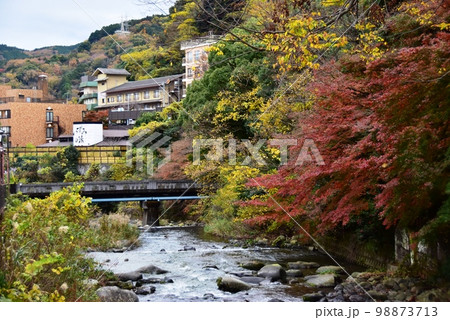 湯河原町 千歳川と鮮やかな紅葉と湯河原温泉宿泊施設 湯河原町 千歳川と鮮やかな紅葉と湯河原温泉宿泊施設 98873713