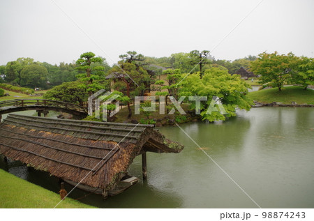 新緑の岡山後楽園 98874243