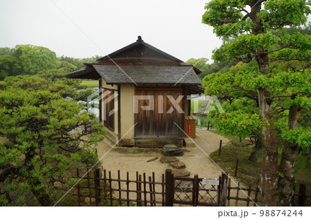 新緑に潤う岡山後楽園沢の池の島茶屋 新緑に潤う岡山後楽園沢の池の島茶屋 98874244