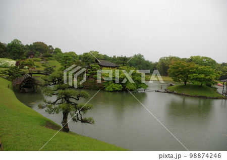 雨に濡れる新緑の岡山後楽園沢の池 雨に濡れる新緑の岡山後楽園沢の池 98874246