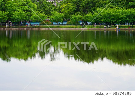 大阪　豊中　服部緑地公園　山ヶ池と釣り人（梅雨） 98874299