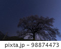 わに塚の一本桜と星空 98874473